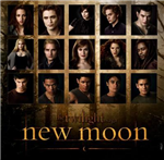 New Moon Quiz