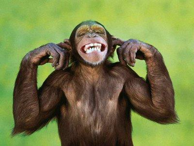 Que Animal Pareces?