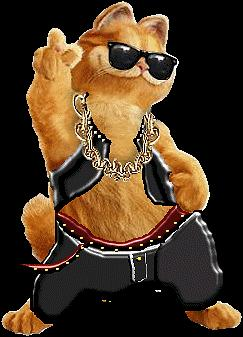Cool Ou Looser