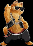 Cool Ou Looser