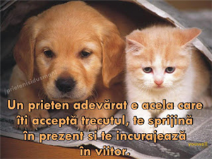 Ce Animal De Companie Esti?