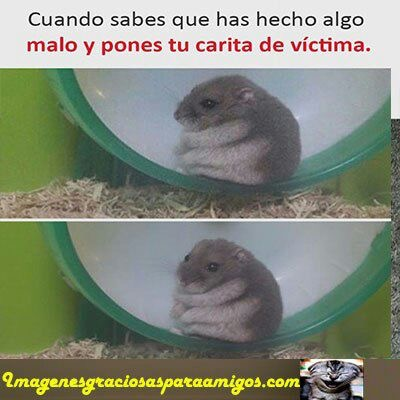 ¿Que Nombre Te Quedaría Bien?