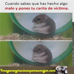 ¿Que Nombre Te Quedaría Bien?