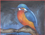 What Bird Are You?