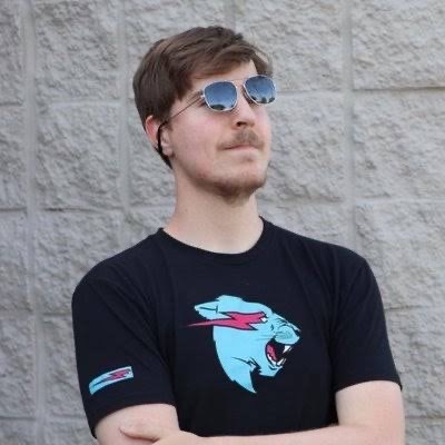 Mrbeast Te Hangi Karaktersin