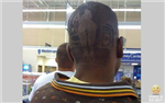 Will U Lyk Petville
