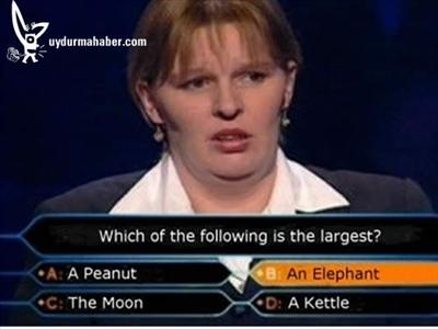 Trick Questions Quiz (Mwehehehe)
