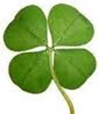 Feelin Lucky?