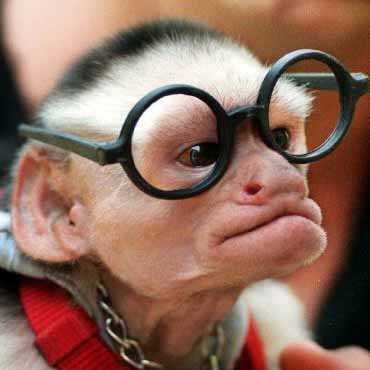 Dorkiness Quotient