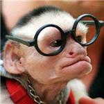 Dorkiness Quotient