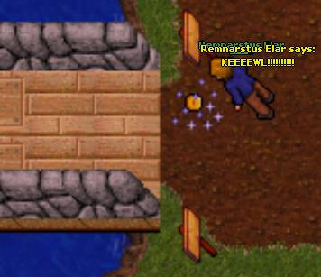 Que Tan Noob Eres???