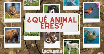 ¿Que animal eres?