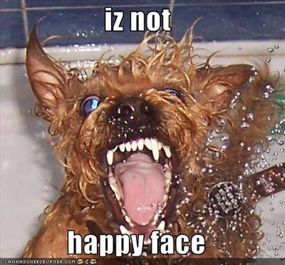 Daily Happiness