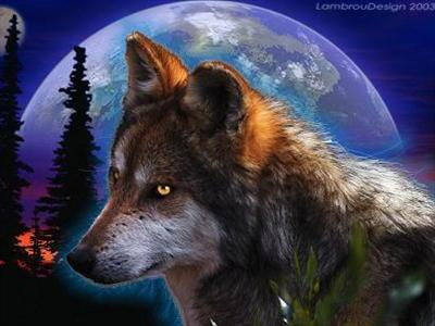 What Is Your Animal Spirit?