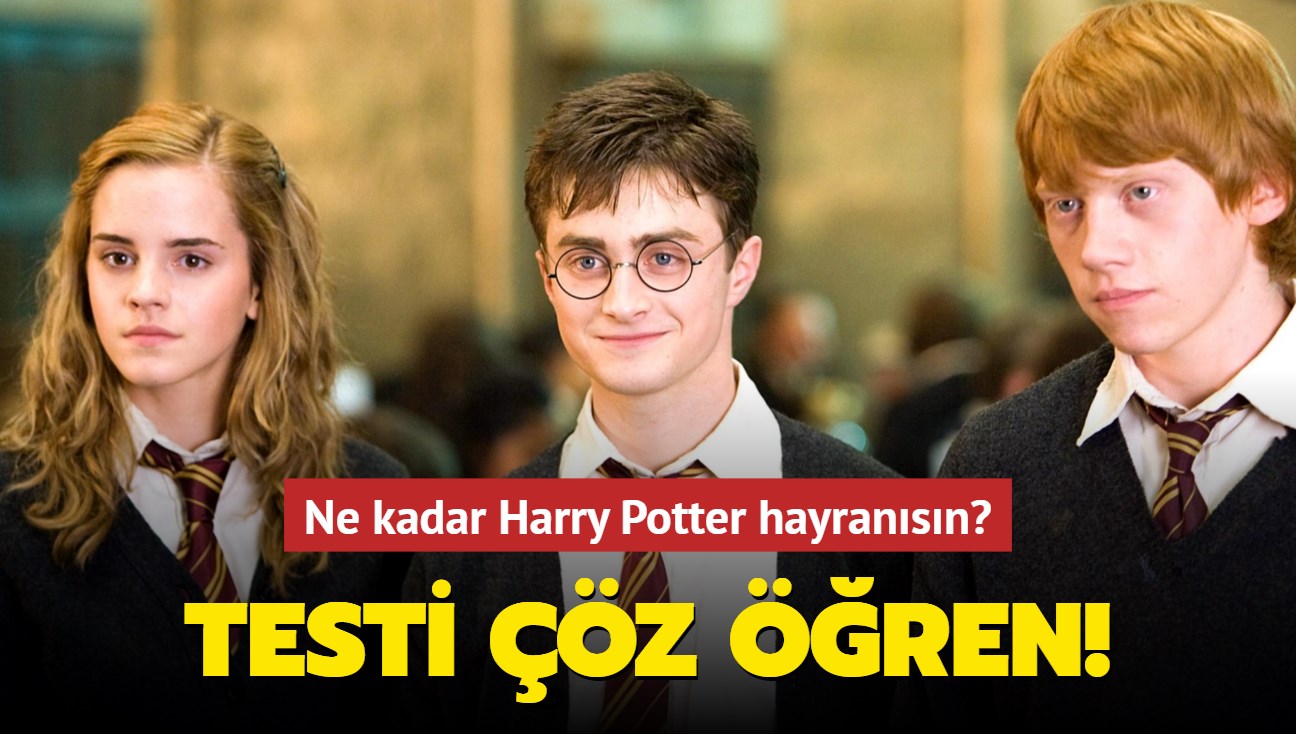 Ne kadar Harry Potter fanısın