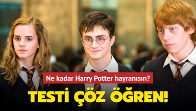 Ne kadar Harry Potter fanısın