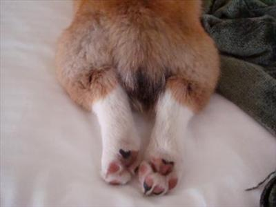 Tookus Of The Day