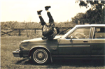 If A Car Hit You What Coulor Would It Be? 2