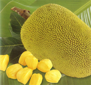 কাঁঠাল