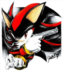 What Evil Video Game Charicter Are U