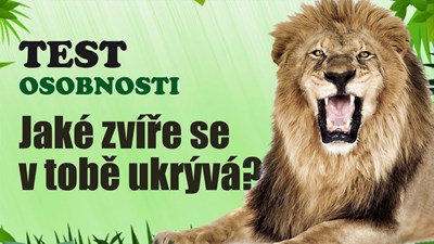 Kdo Jsi Za Zvíře 