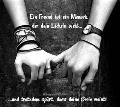 Freund Oder Feind