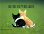 Dostmusun?Düşmanmı?