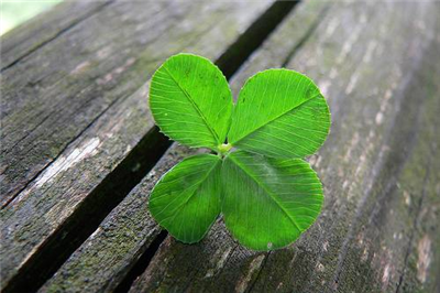 Lucky Or Unlucky