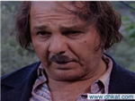 اي شخصية انت في مسلسل ضيعة ضايعة؟