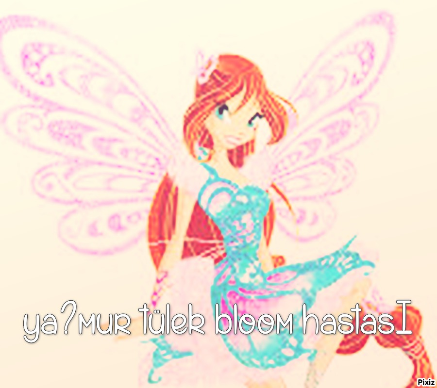 Hangi Winx Perisisin