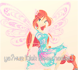 Hangi Winx Perisisin