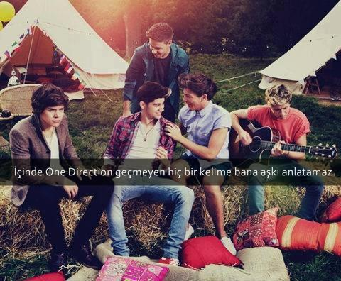 Gerçek Directioner Misin ?