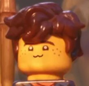 Hangi Ninjago karakterisin
