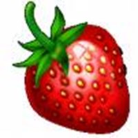 What Fruit Are You