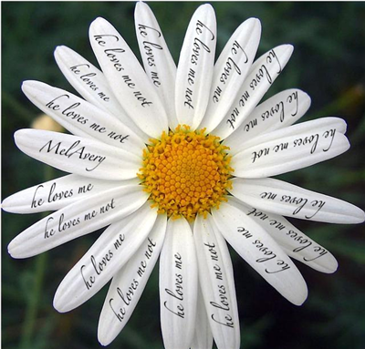 Loves Me.. Loves Me Not