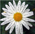 Loves Me.. Loves Me Not