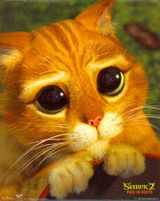 Cute Or Not?