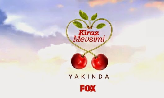 Hangi Diziyi Sewiyorsunuz