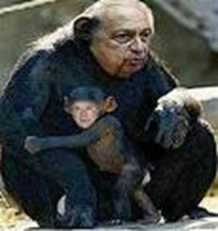Ne Kadar Maymunsunuz?