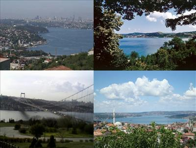 Ne Kadar Beykozlusun