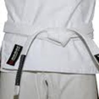 What Belt Are You In Taekwondo?