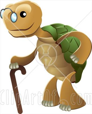 Đo Độ Rùa Của Bạn ?