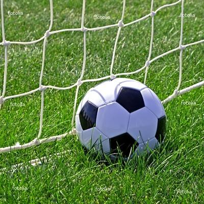 Soccer Or Basketball?