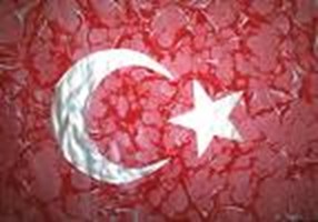 Türk Müsün?