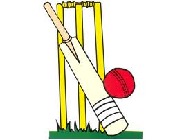 Which Cricketer Are You?