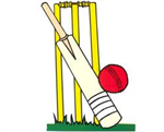 Which Cricketer Are You?