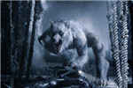 Vampire Vs. Werewolf!
