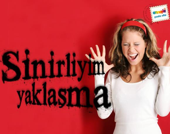 Ne Kadar Sinilisin ?
