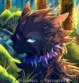 Quel personnage de la guerre des clans êtes vous 😺