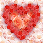 Findest Du Heute Die Wahre Liebe